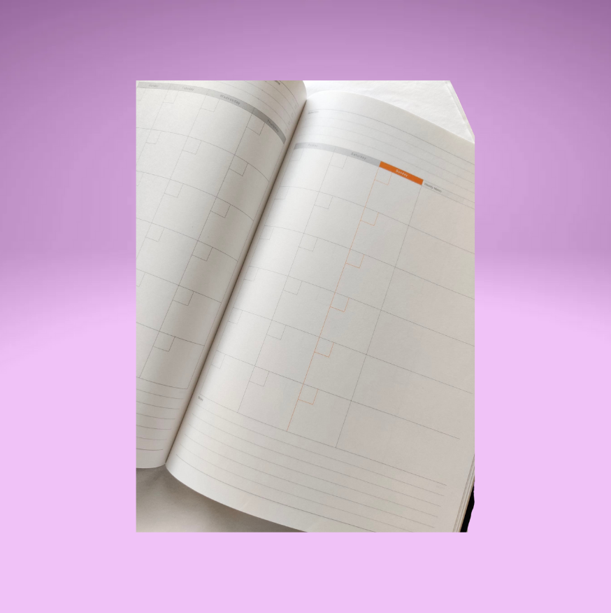 Luddite Function Notebook (Monthly/To-Do)