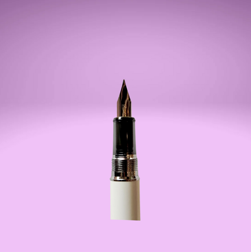 Platinum Pen Fountain Pen