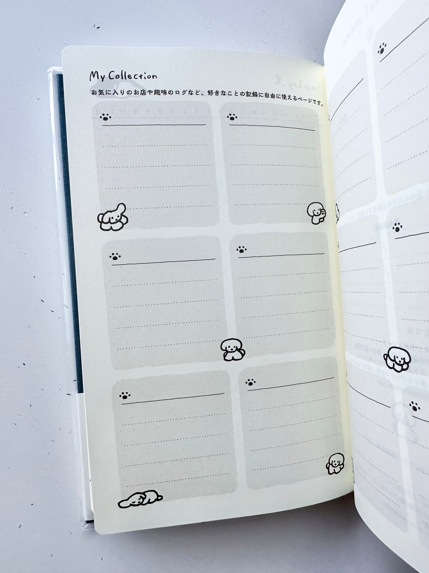 Book Style Diary 2026 (2 Designs)