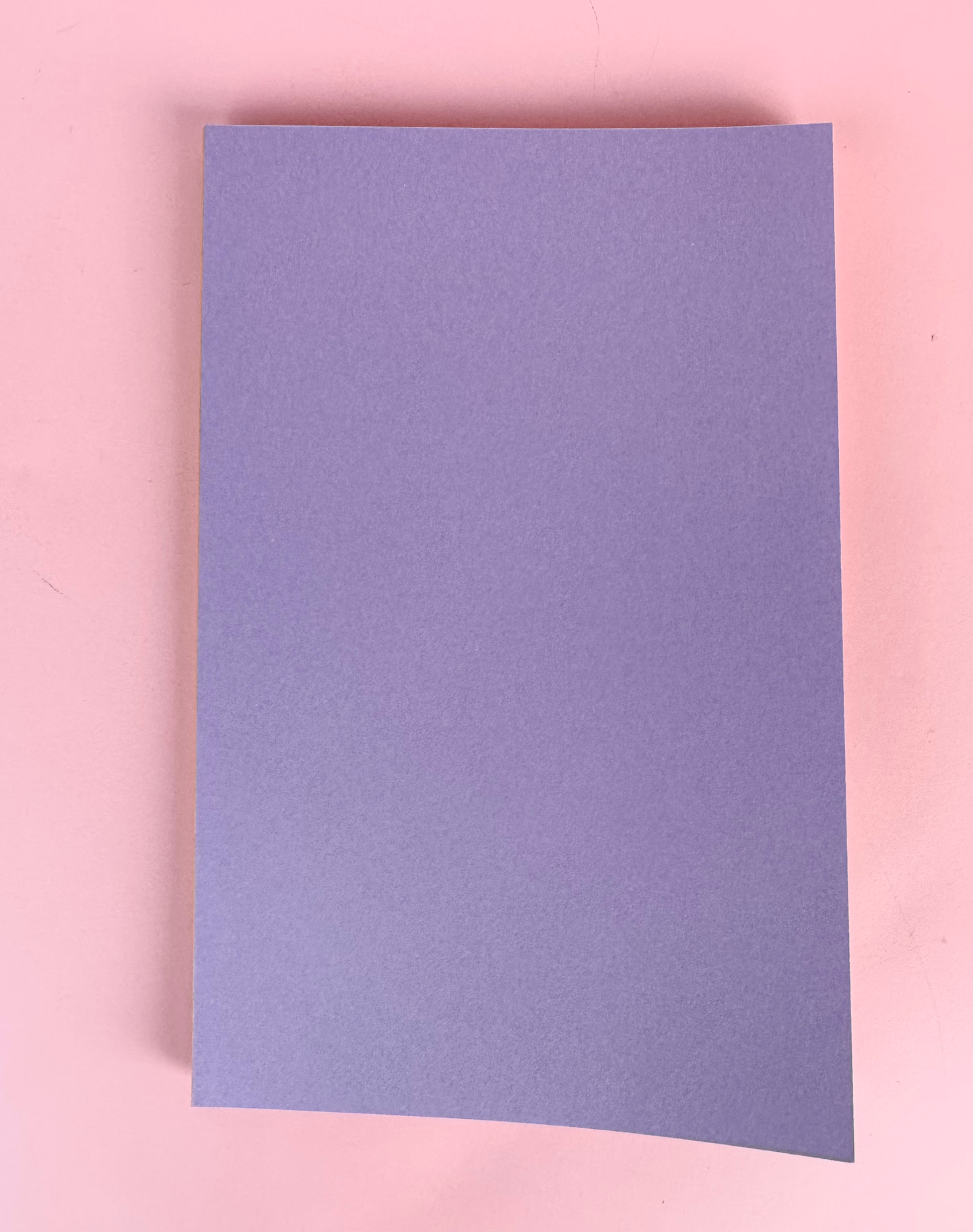 Pont Neuf Solid Notebooks
