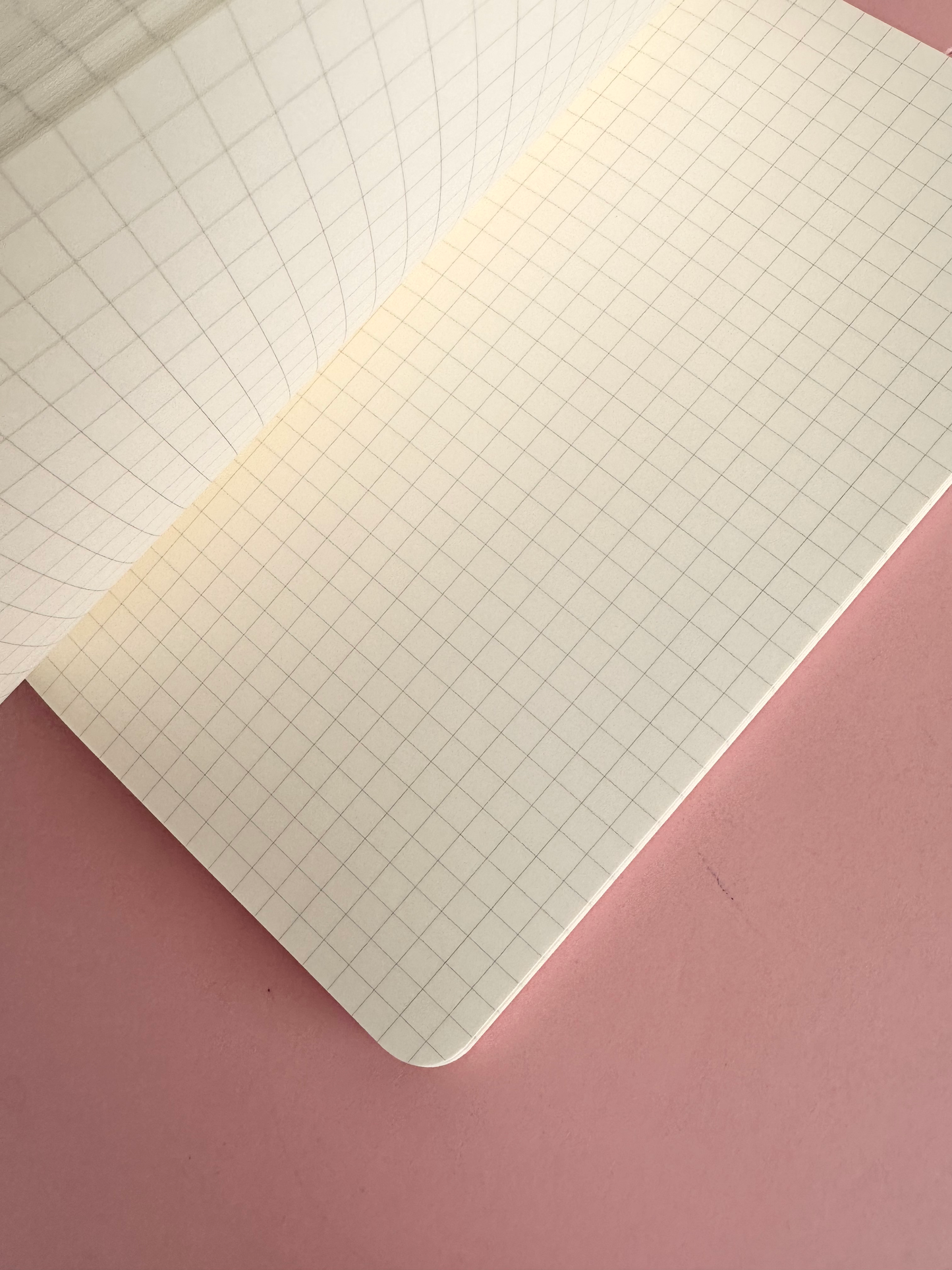 Kunisawa Notebook