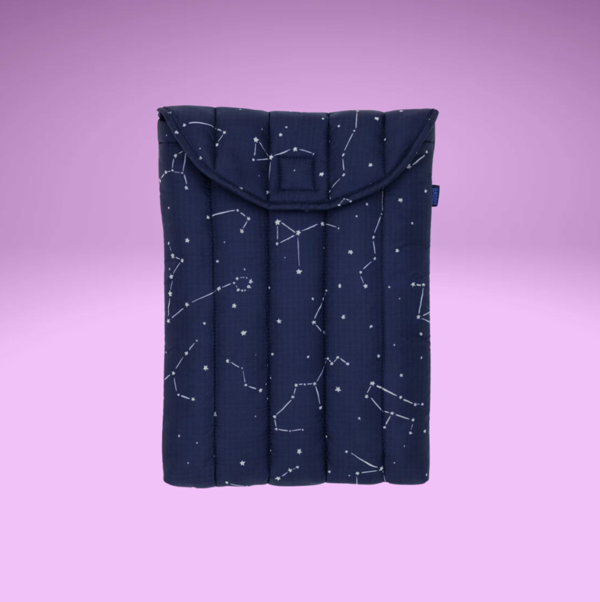 Fall 24' Puffy Laptop and Tablet Cases