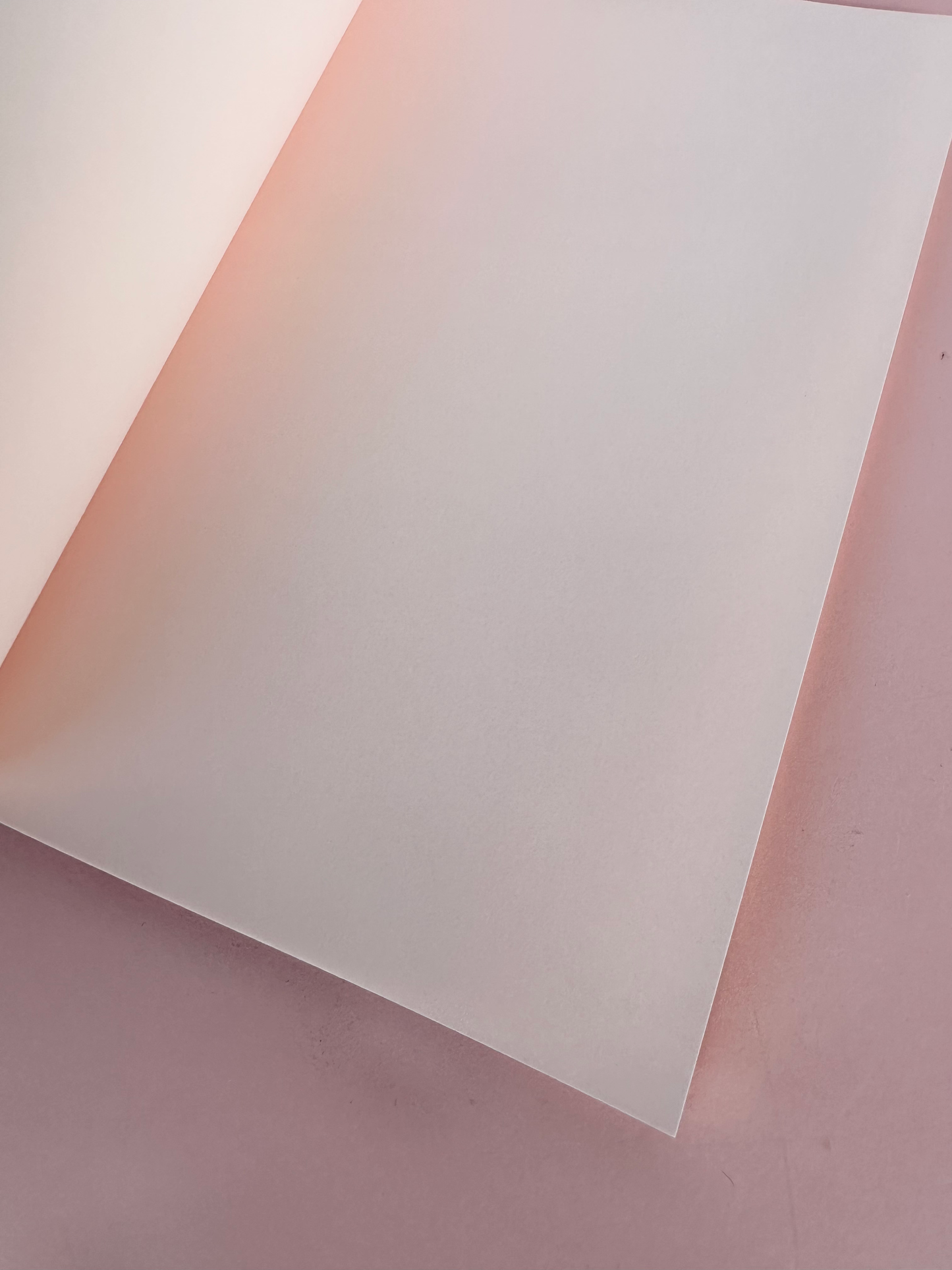 Pont Neuf Solid Notebooks
