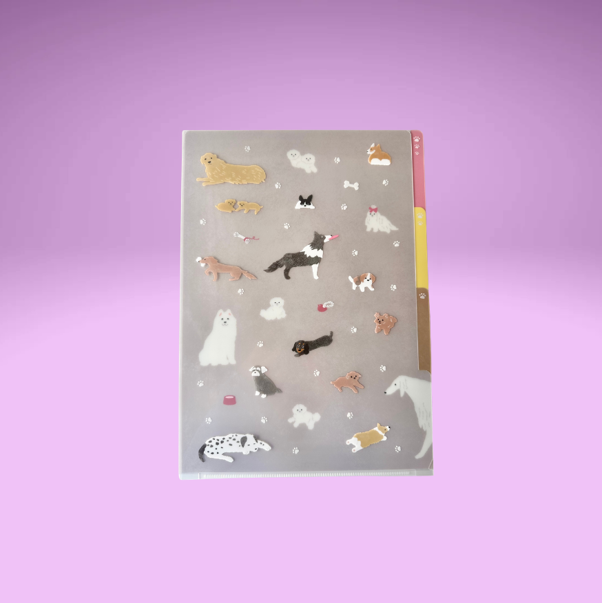 3 Pocket Clear Folder (2 Designs)