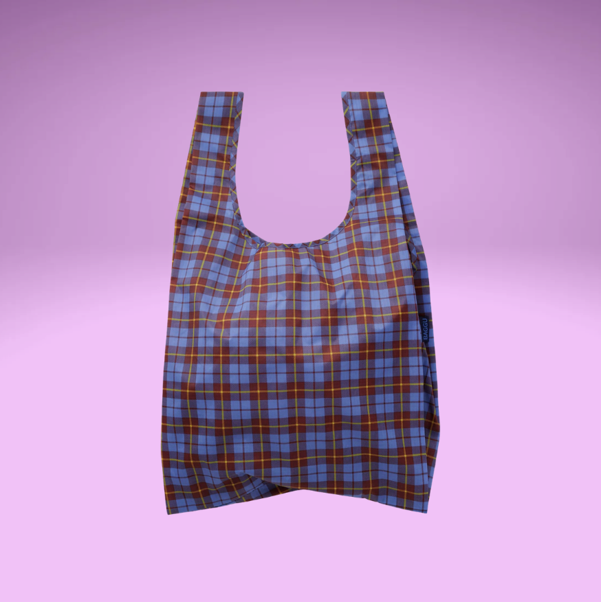 Summer 26' Reusable Baggu