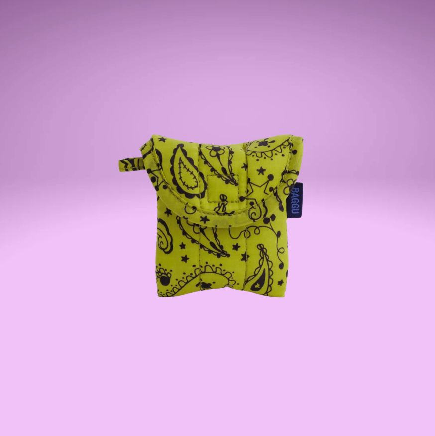 Autumn 26' Puffy Earbuds Case