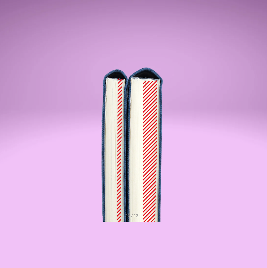 Hobonichi Mega Weeks & Mega Weeks 2026 Planner