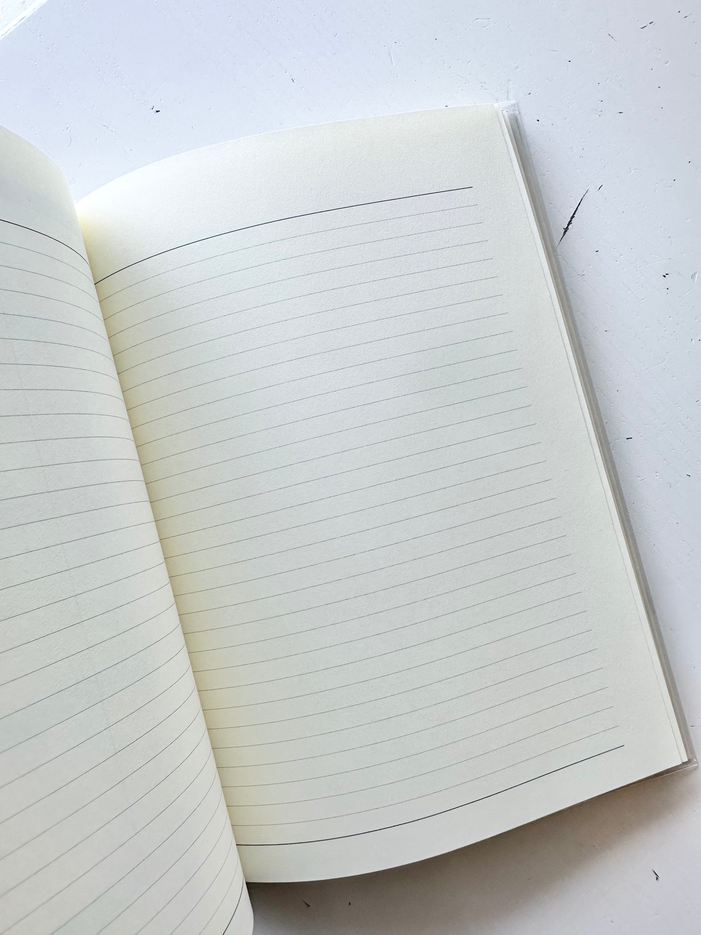 Double Schedule Planner 2026