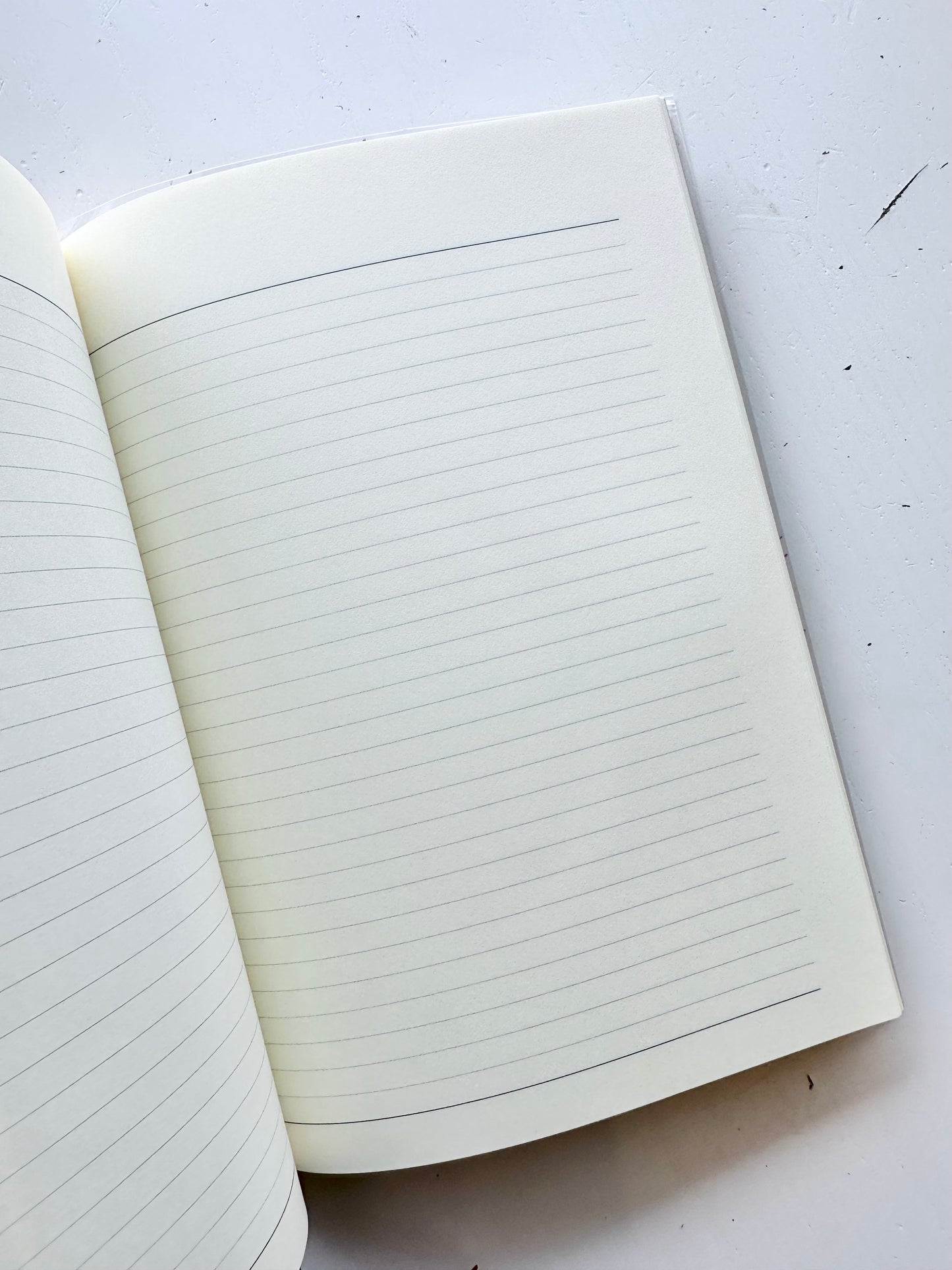 Double Schedule Planner 2026