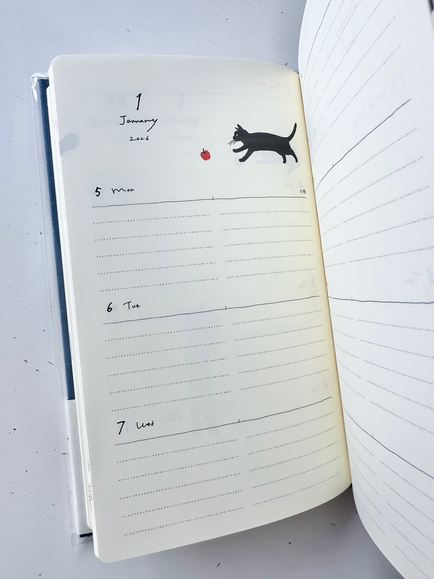 Book Style Diary 2026 (2 Designs)
