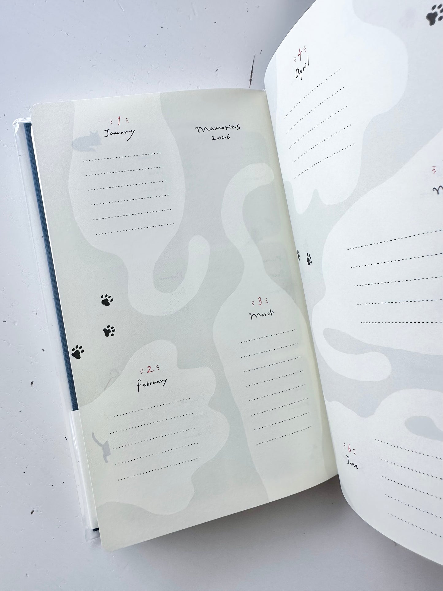 Book Style Diary 2026 (2 Designs)