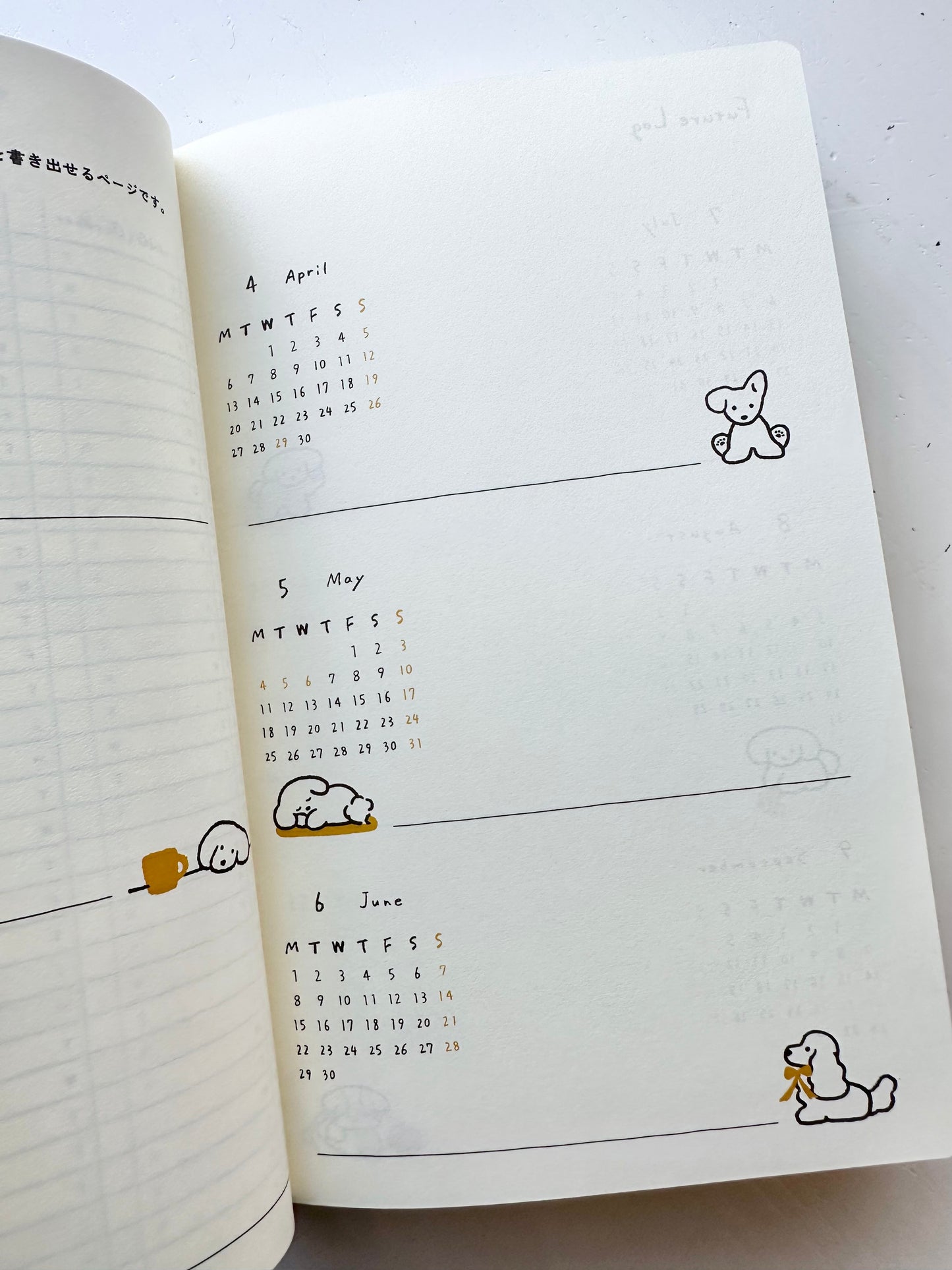 Book Style Diary 2026 (2 Designs)