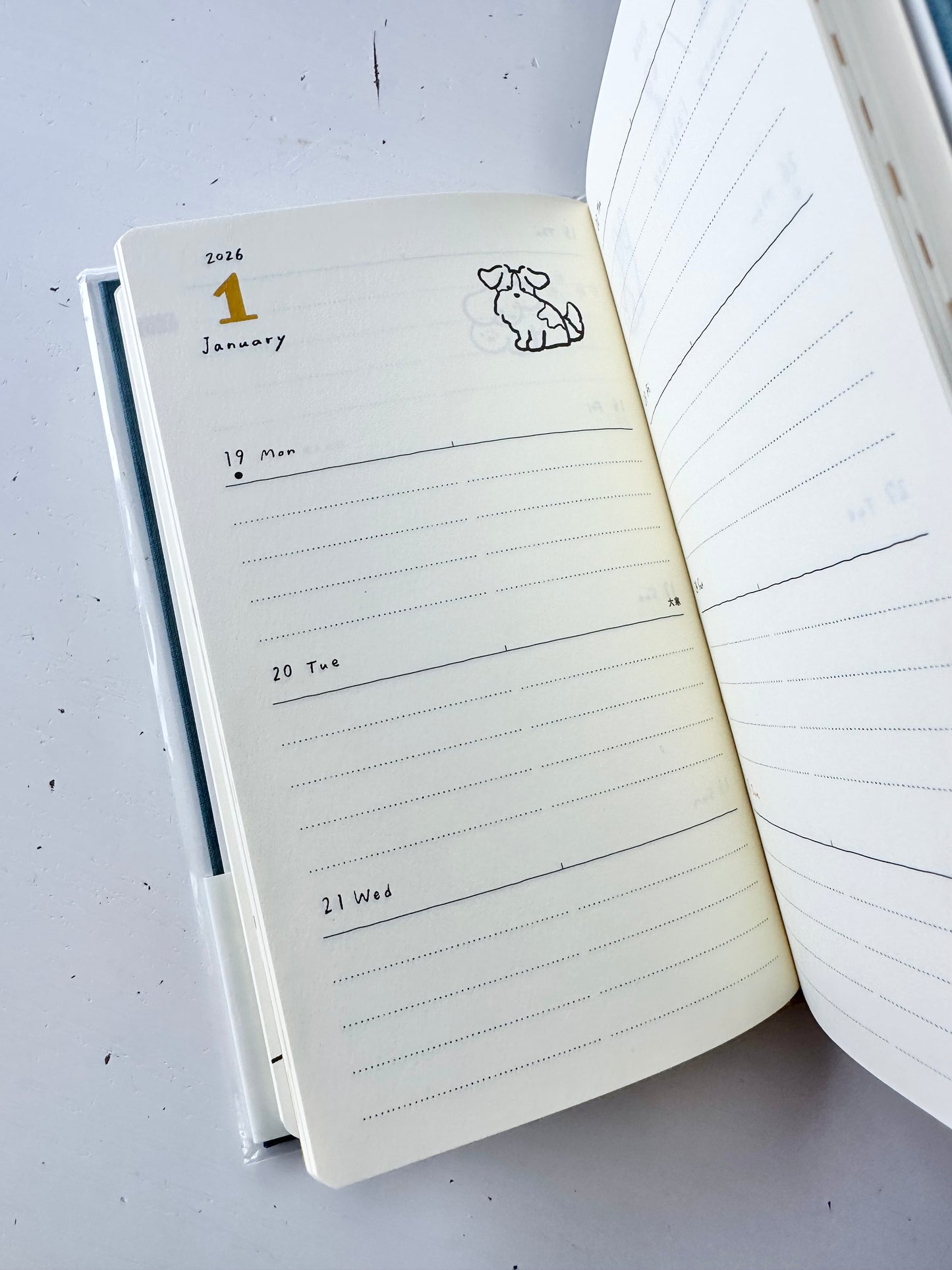 Book Style Diary 2026 (2 Designs)