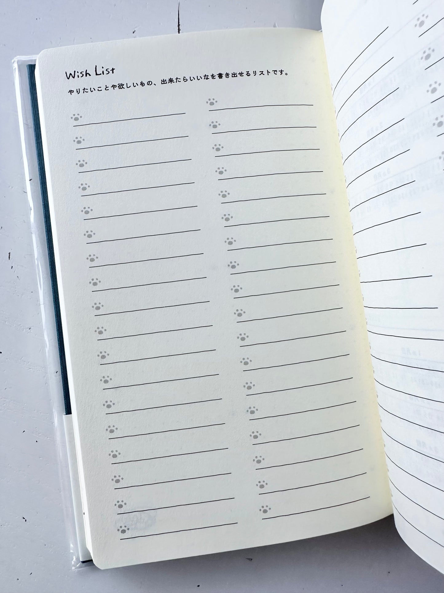 Book Style Diary 2026 (2 Designs)