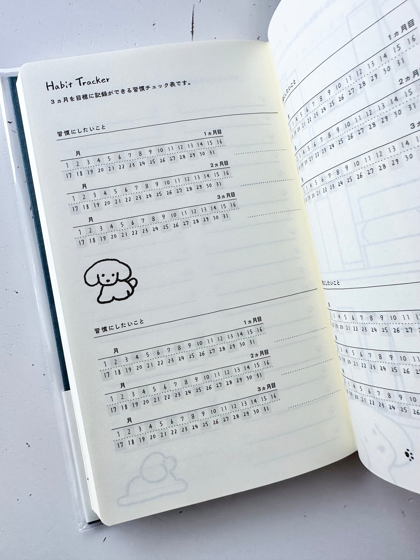 Book Style Diary 2026 (2 Designs)