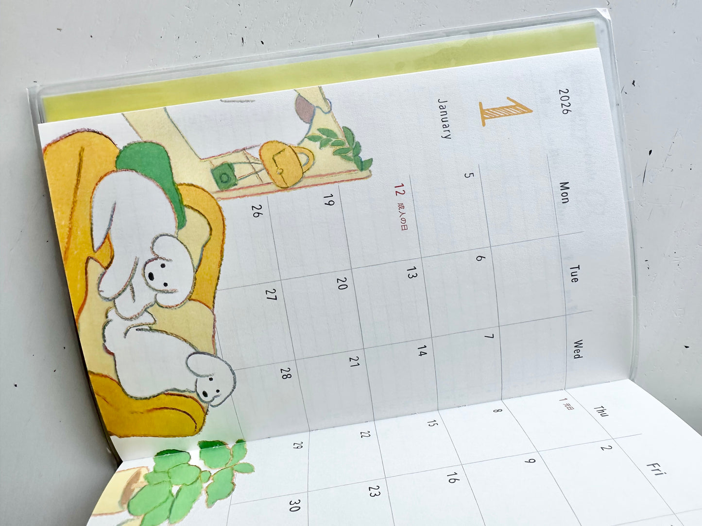 Pocket Diary 2026 (2-Designs, B6)