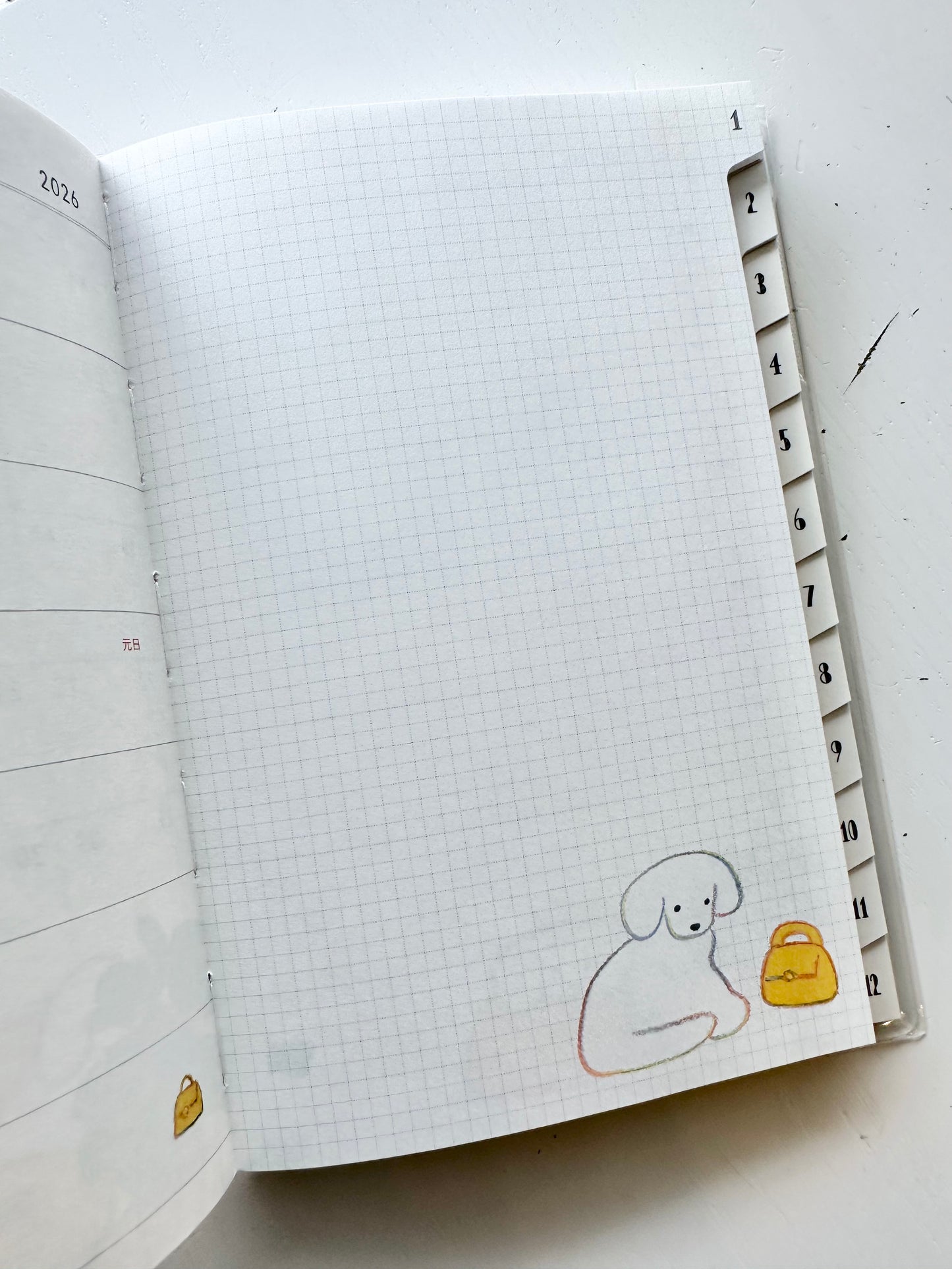 Pocket Diary 2026 (2-Designs, B6)