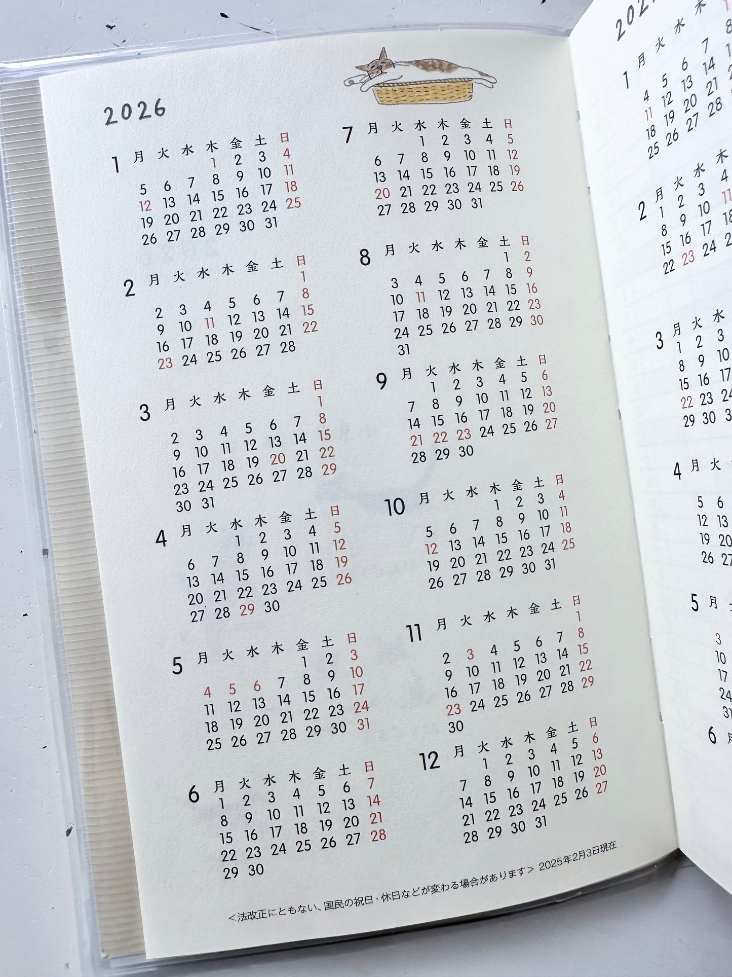 Pocket Diary 2026 (2-Designs, B6)