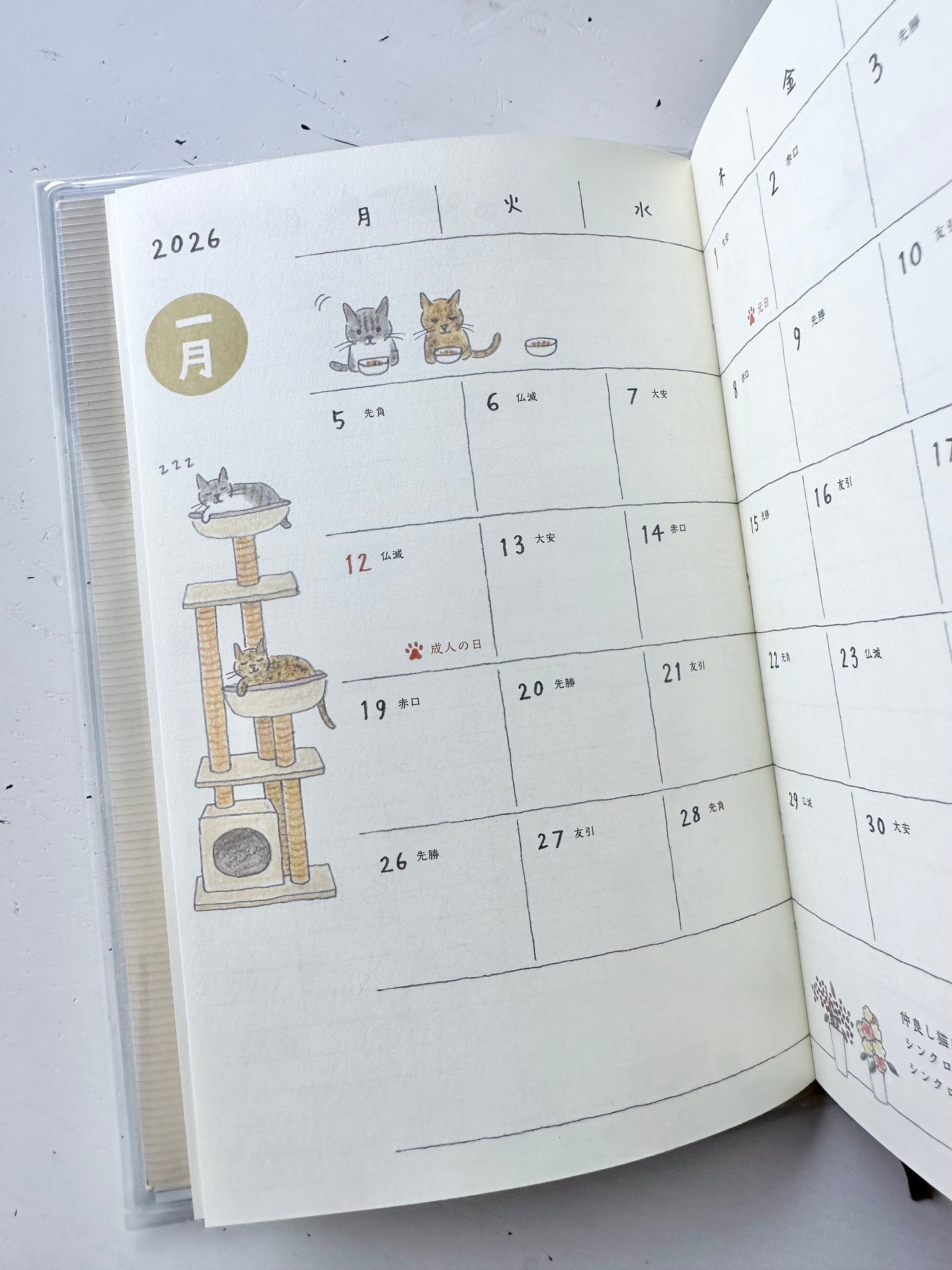 Pocket Diary 2026 (2-Designs, B6)