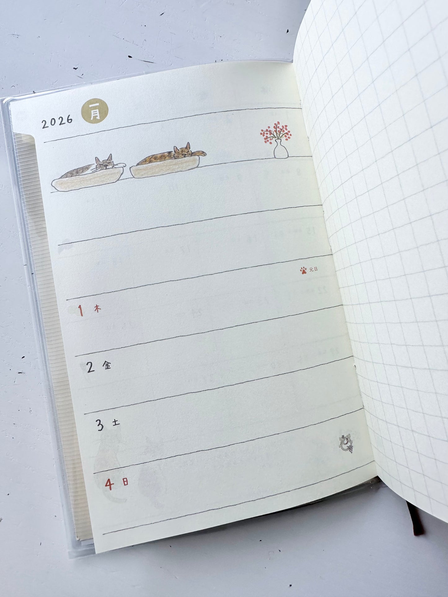 Pocket Diary 2026 (2-Designs, B6)