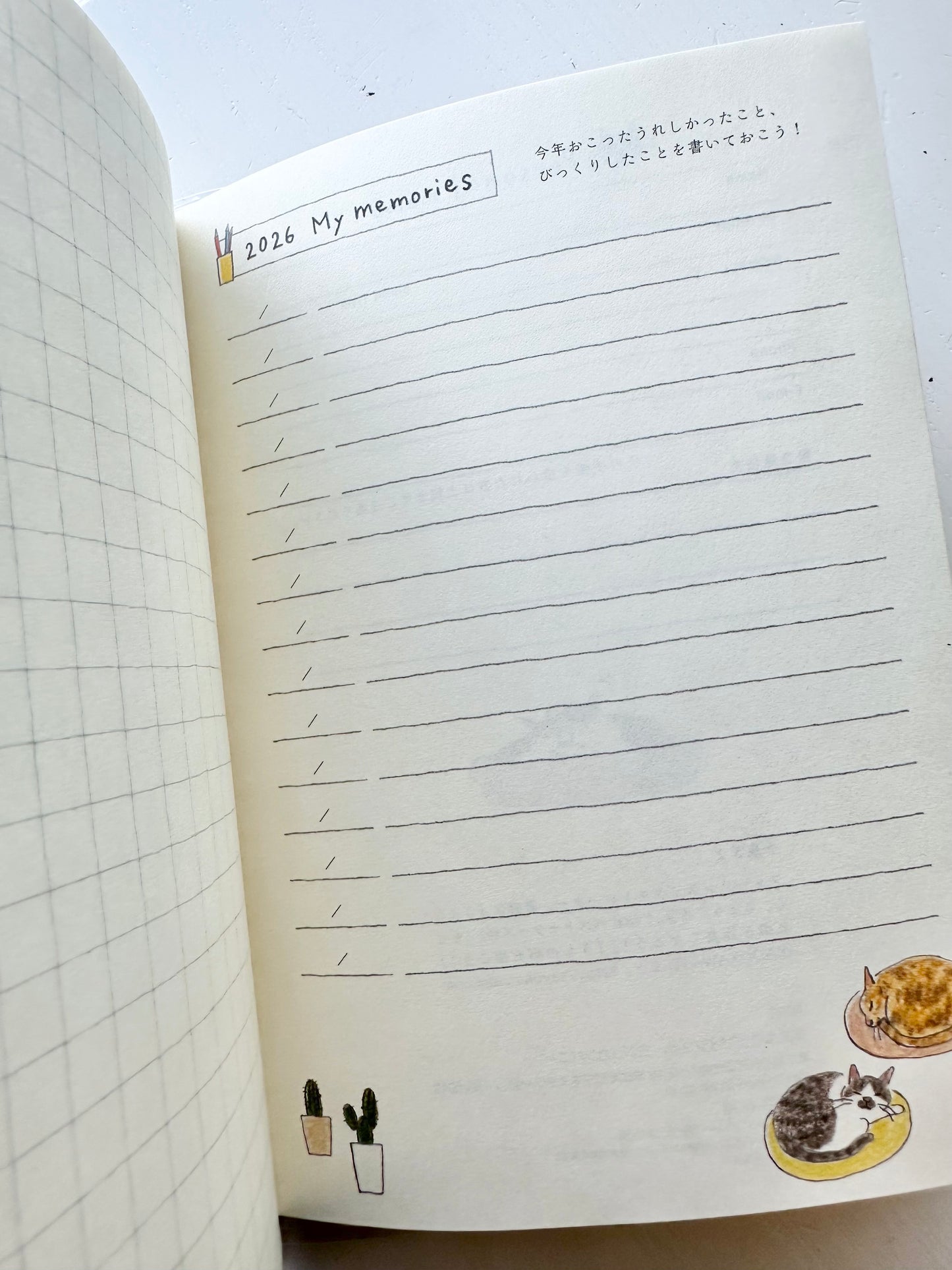 Pocket Diary 2026 (2-Designs, B6)