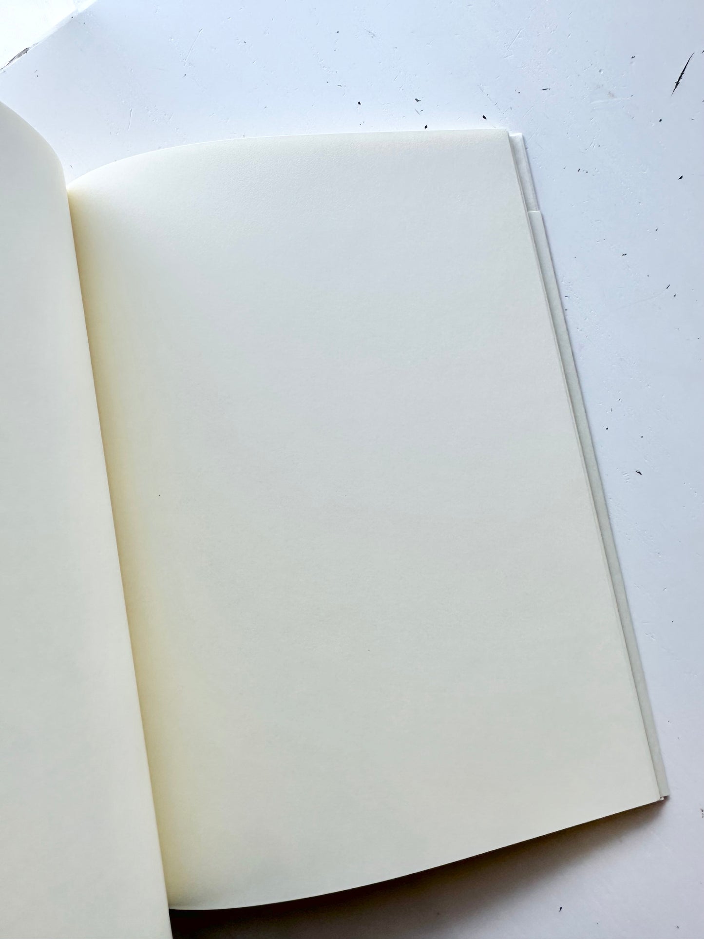 2026 MD Notebook Agenda Diary A5 2026 (2 designs)