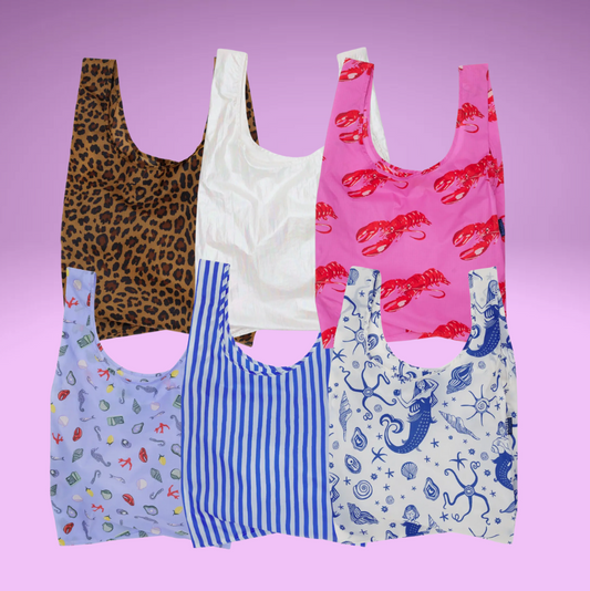 Spring 25' Reusable Bag