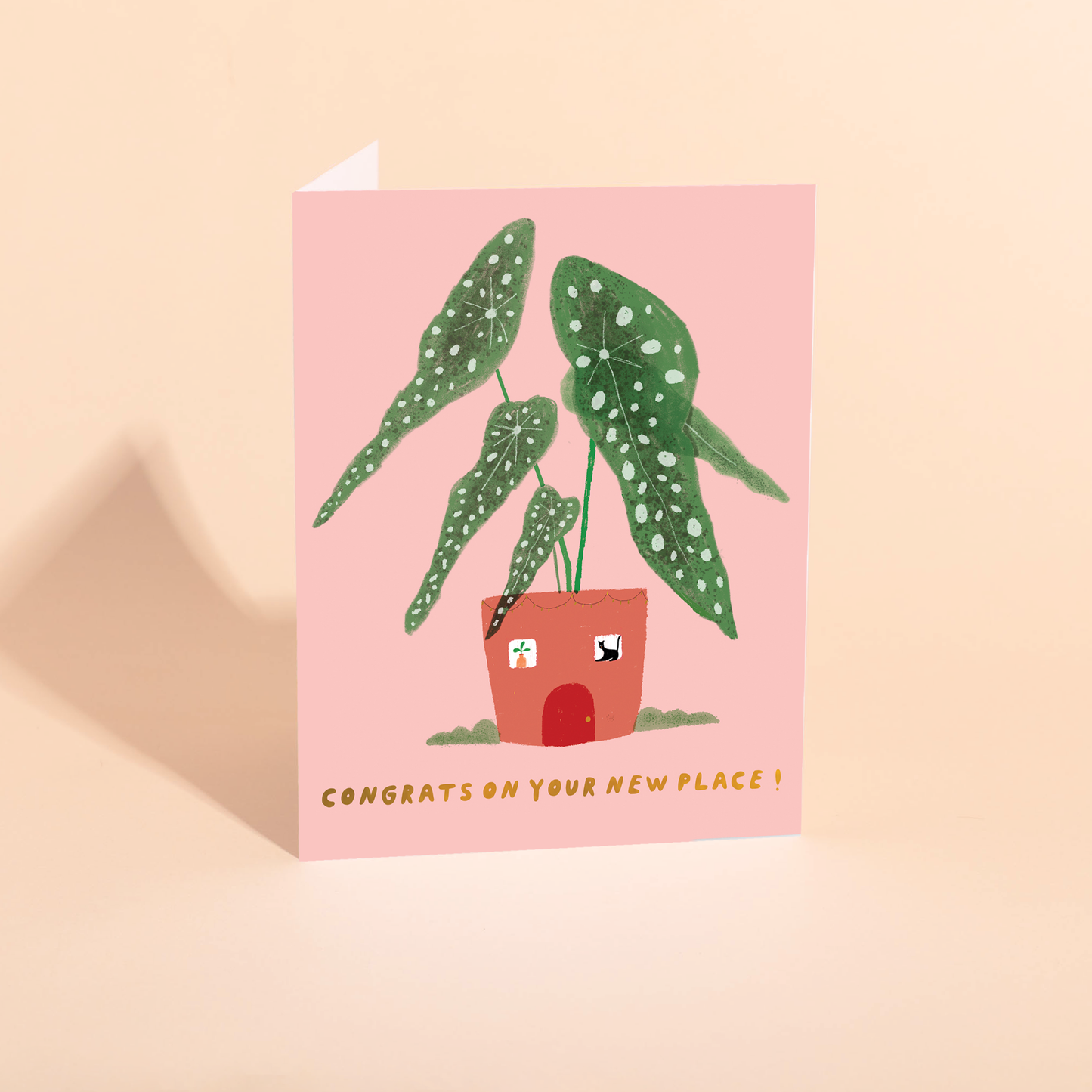 Casita Begonia New Home Card