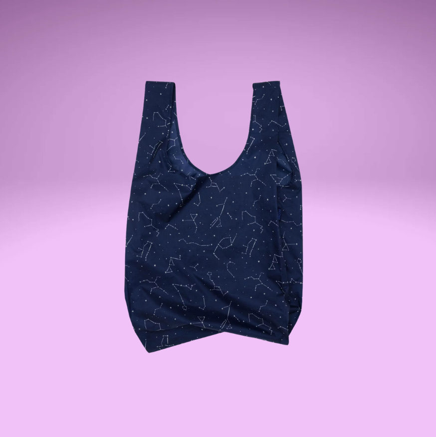 Constellation Midnight Big Baggu