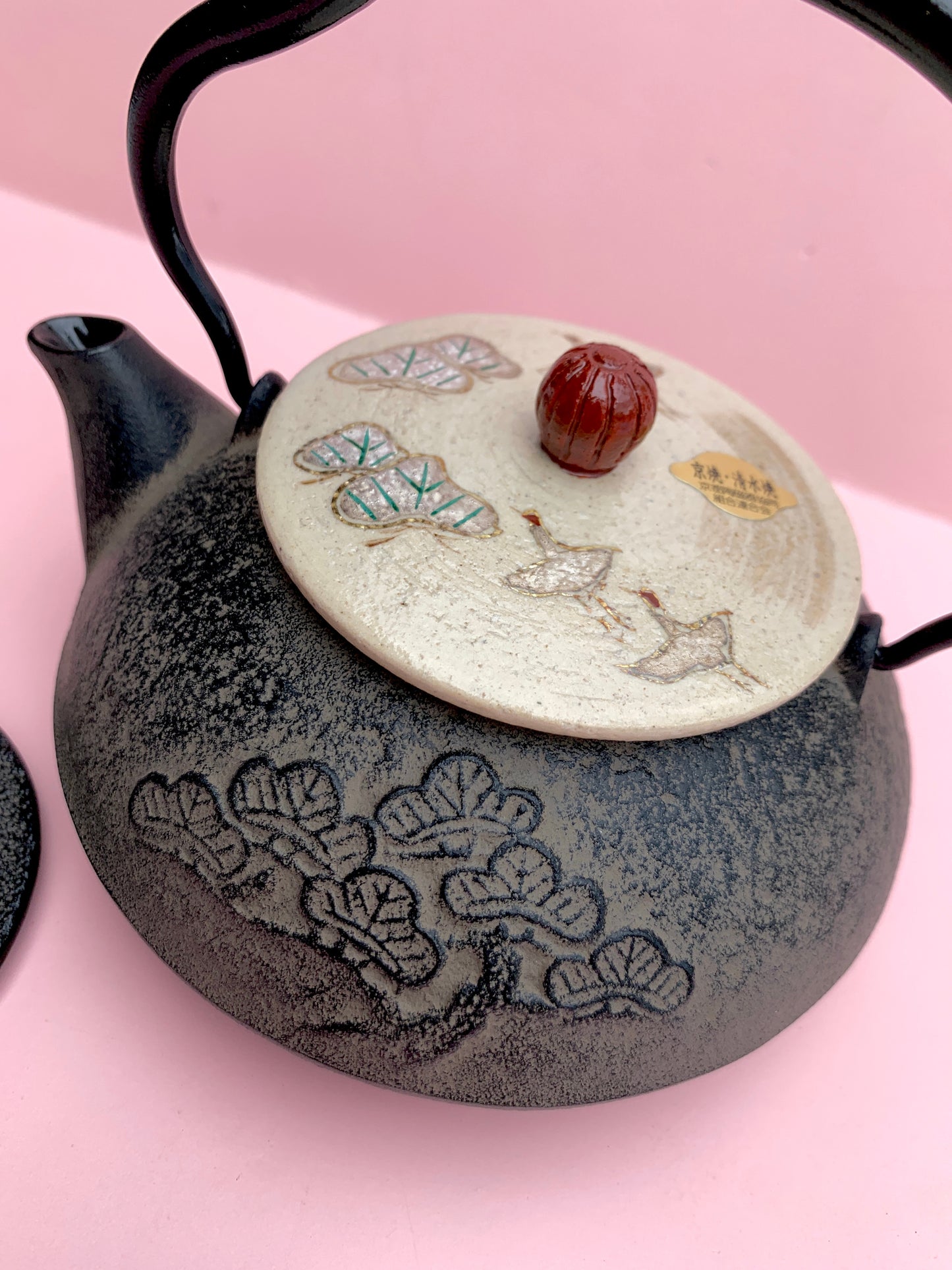 Cast Iron Tea Pot (coated)